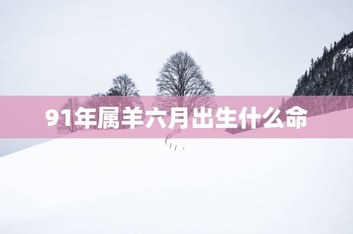 91年属羊六月出生什么命