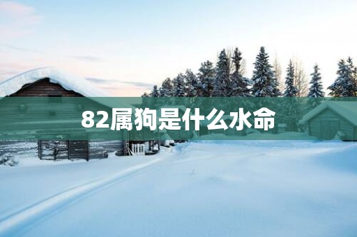 82属狗是什么水命