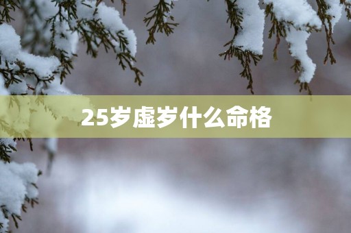 25岁虚岁什么命格