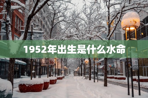 1952年出生是什么水命