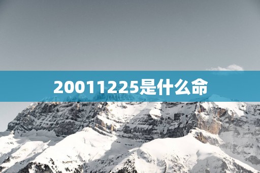 20011225是什么命