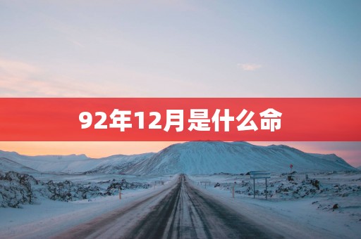 92年12月是什么命