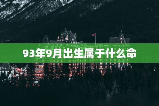 93年9月出生属于什么命