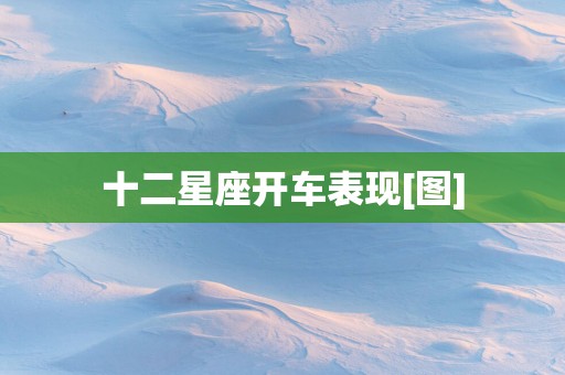 十二星座开车表现[图]