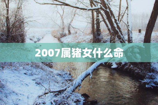 2007属猪女什么命
