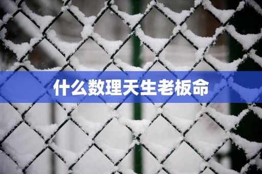 什么数理天生老板命