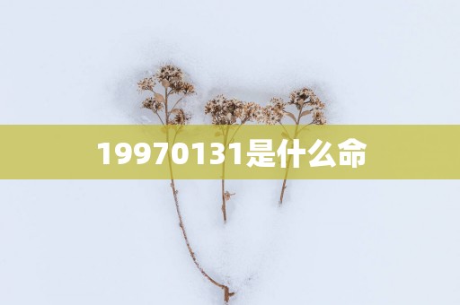 19970131是什么命