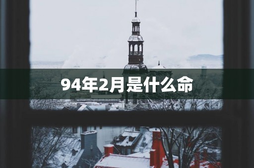 94年2月是什么命