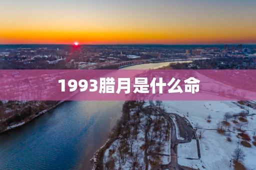 1993腊月是什么命