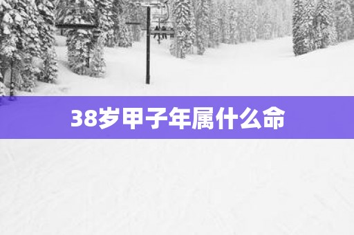 38岁甲子年属什么命