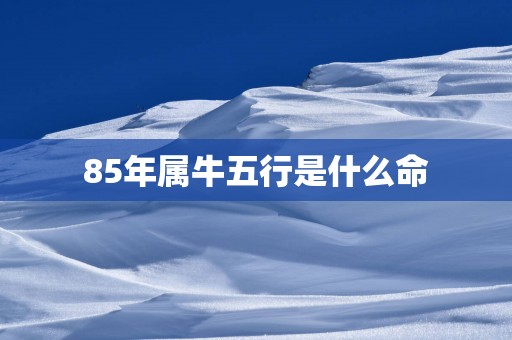85年属牛五行是什么命