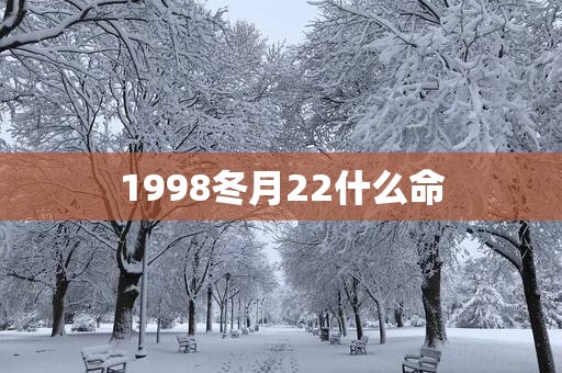 1998冬月22什么命