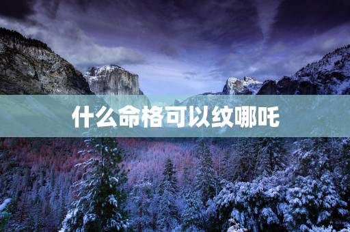 什么命格可以纹哪吒