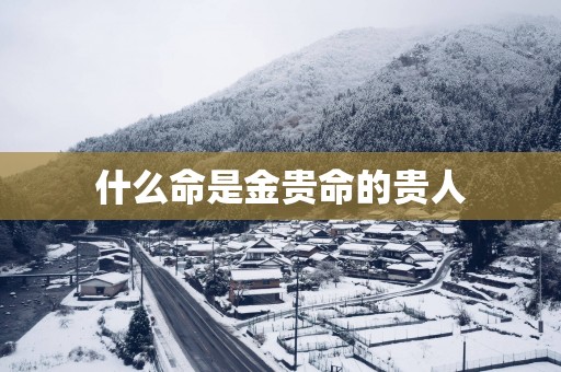 什么命是金贵命的贵人