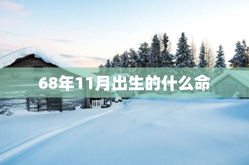 68年11月出生的什么命