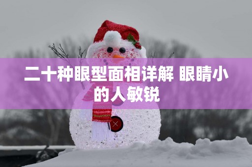 二十种眼型面相详解 眼睛小的人敏锐