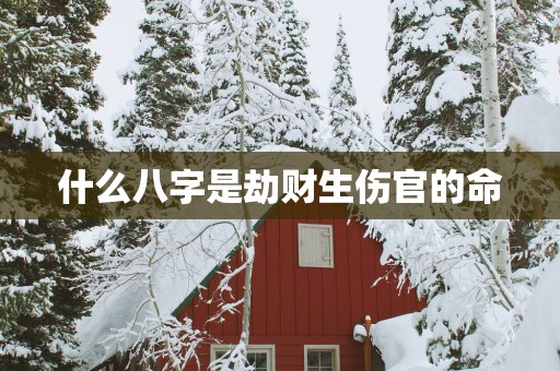 什么八字是劫财生伤官的命