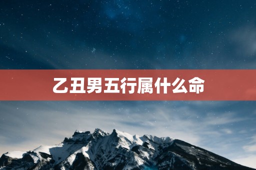 乙丑男五行属什么命