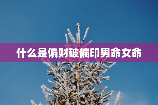 什么是偏财破偏印男命女命