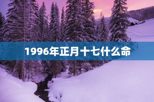 1996年正月十七什么命