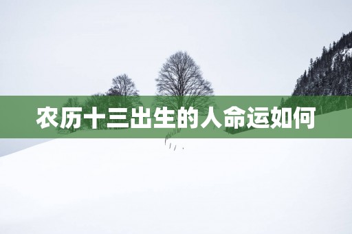 农历十三出生的人命运如何