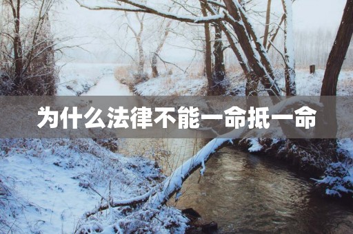 为什么法律不能一命抵一命