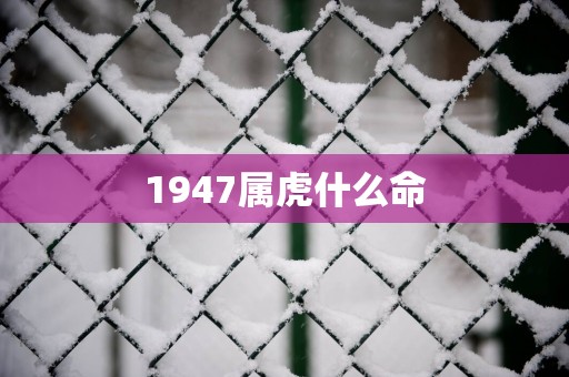 1947属虎什么命