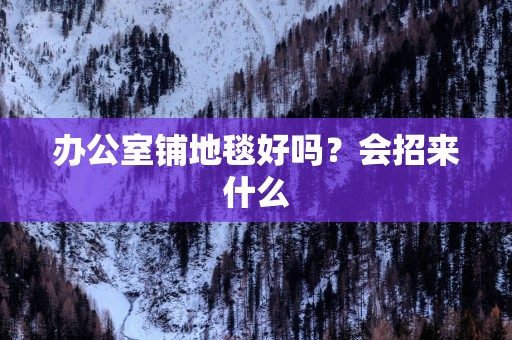 办公室铺地毯好吗？会招来什么