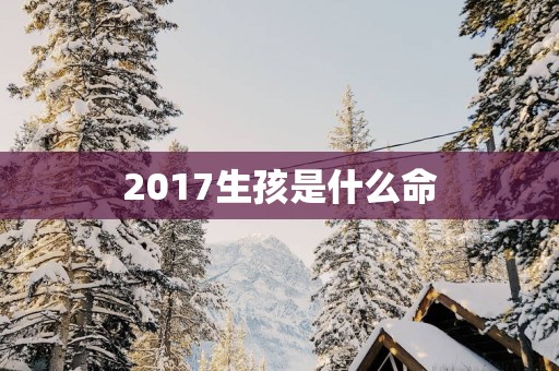 2017生孩是什么命