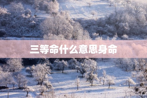 三等命什么意思身命