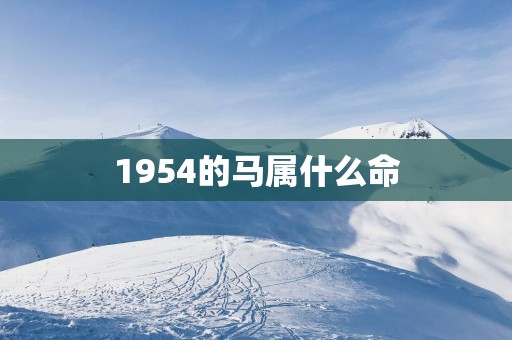 1954的马属什么命