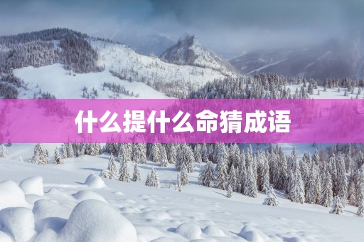 什么提什么命猜成语