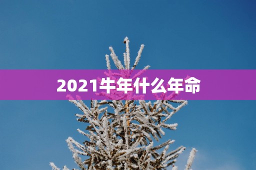 2025蛇年什么年命