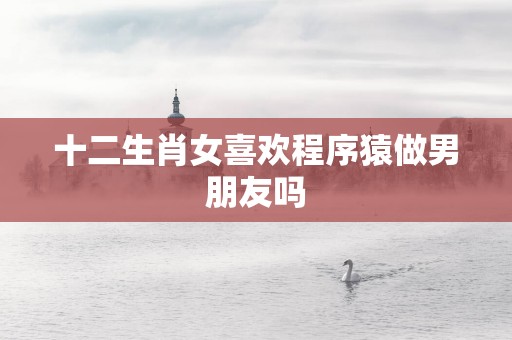 十二生肖女喜欢程序猿做男朋友吗