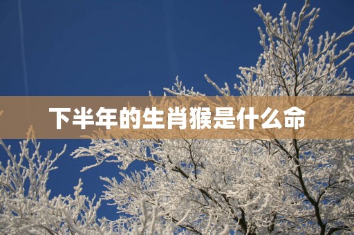 下半年的生肖猴是什么命