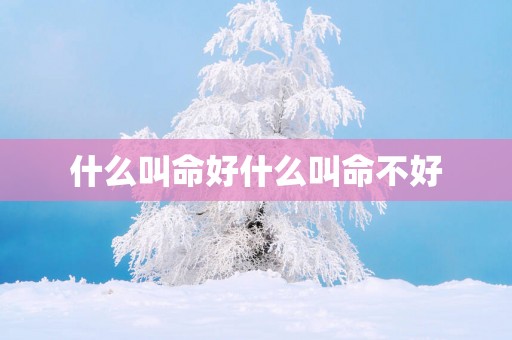 什么叫命好什么叫命不好