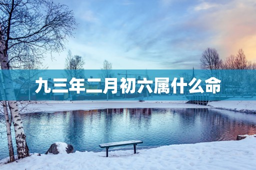 九三年二月初六属什么命