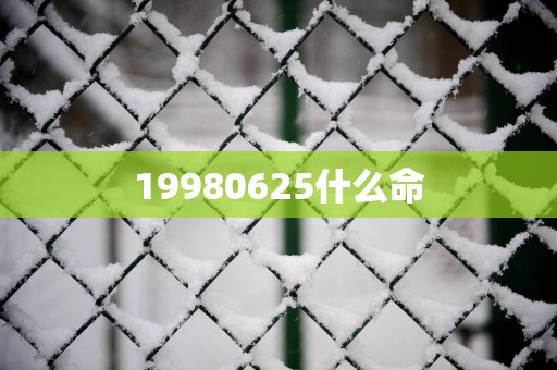 19980625什么命