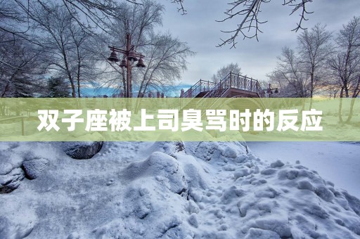 双子座被上司臭骂时的反应
