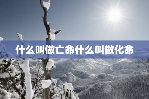 什么叫做亡命什么叫做化命
