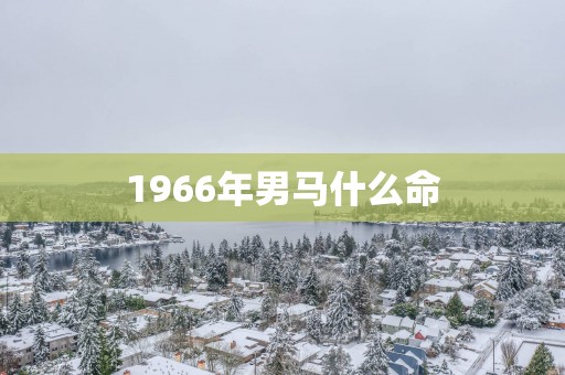1966年男马什么命