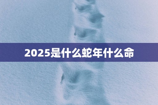 2025是什么蛇年什么命