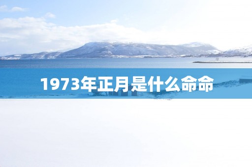 1973年正月是什么命命