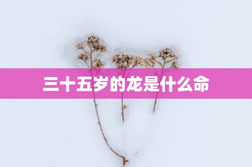 三十五岁的龙是什么命