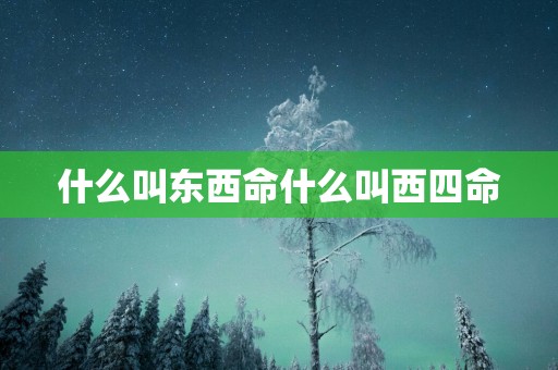 什么叫东西命什么叫西四命
