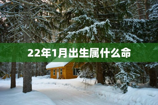 22年1月出生属什么命