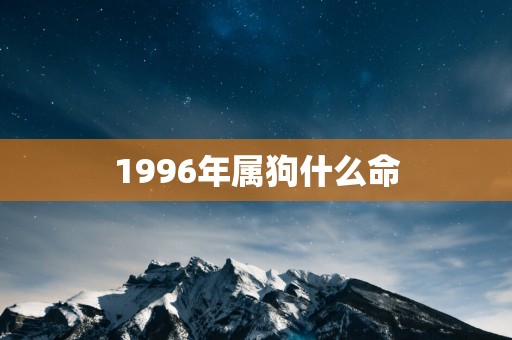 1996年属狗什么命