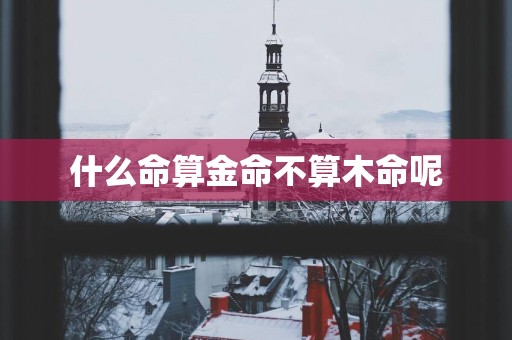 什么命算金命不算木命呢