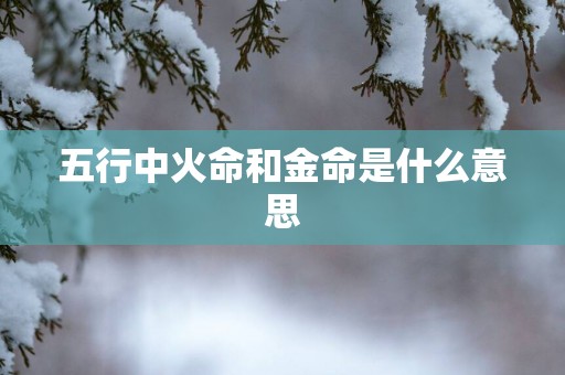 五行中火命和金命是什么意思