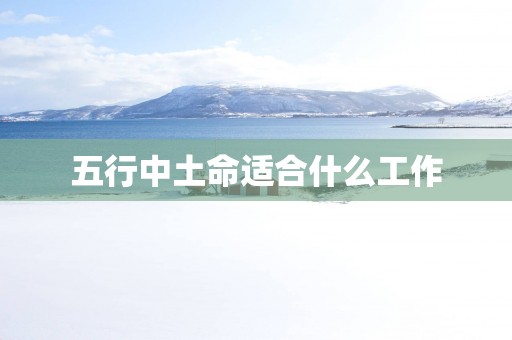 五行中土命适合什么工作